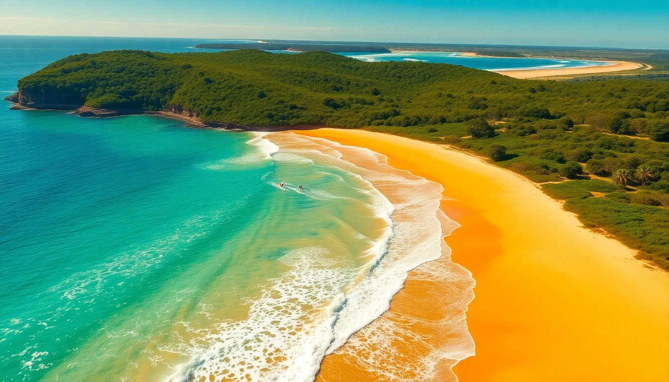 Experience the vibrant coastline of Australia with stunning beaches and crystal waters.